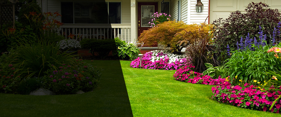 Basalt Landscapers