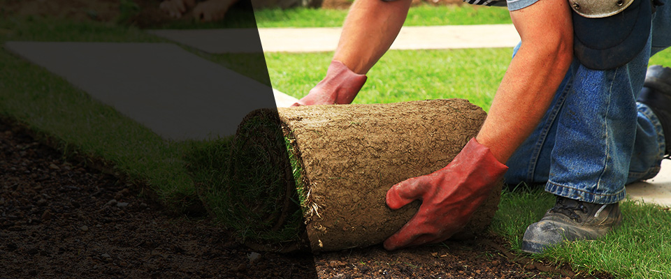 Basalt Landscapers
